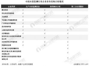 2020年中国水质监测行业竞争格局:三大梯队竞争激烈 著作权归作者所有。- 2020年中国水质监测行业竞争格局:三大梯队竞争激烈 著作权归作者所有。-