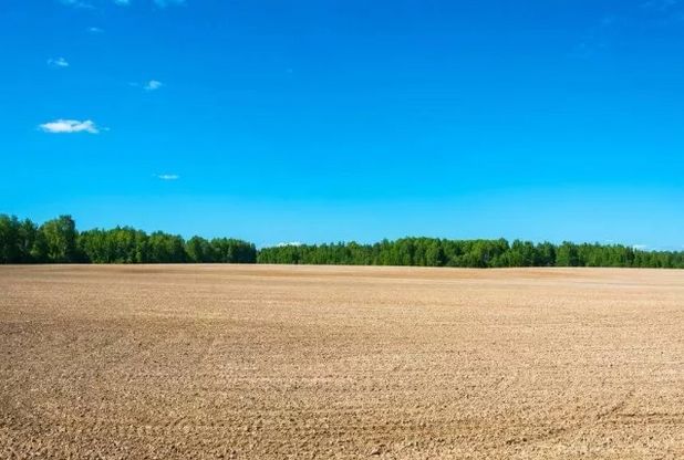 新利国际手机版|中国科学家开发全球首个土壤修复AI预测系统- 新利国际手机版|中国科学家开发全球首个土壤修复AI预测系统-