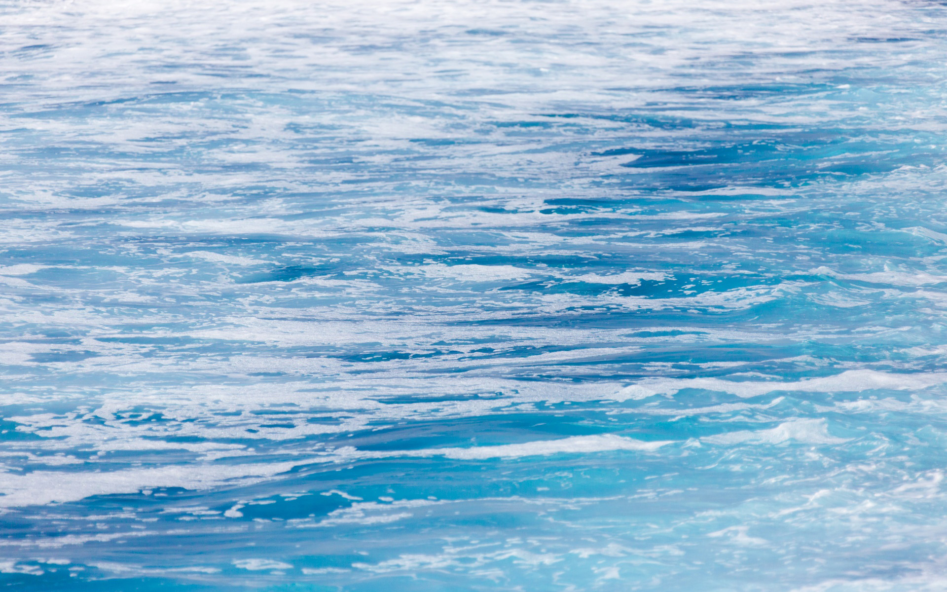 新利国际手机版|上海启动”蓝海卫士”行动 创新海洋生态保护新模式- 新利国际手机版|上海启动”蓝海卫士”行动 创新海洋生态保护新模式-