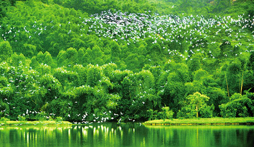 上海仪器仪表展|守护绿水青山的时代先锋:五位环保人的使命与担当- 上海仪器仪表展|守护绿水青山的时代先锋:五位环保人的使命与担当-