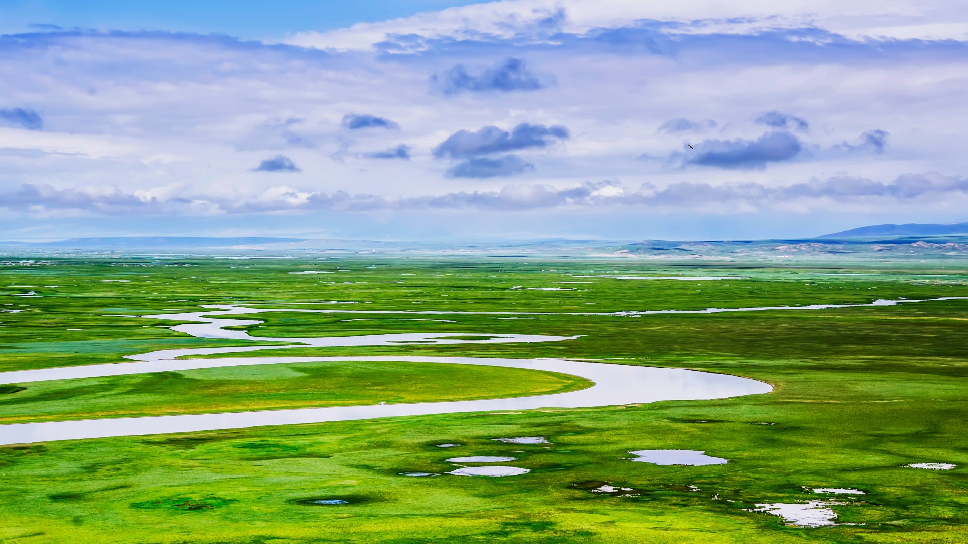 新利国际手机版|植物群落关键指标预测研究取得重大突破- 新利国际手机版|植物群落关键指标预测研究取得重大突破-