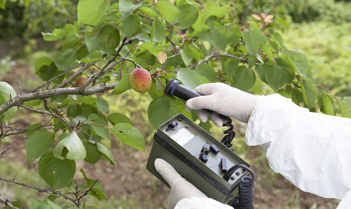 新利国际手机版|我国辐射环境安全稳定,核安全监管体系完善- 新利国际手机版|我国辐射环境安全稳定,核安全监管体系完善-