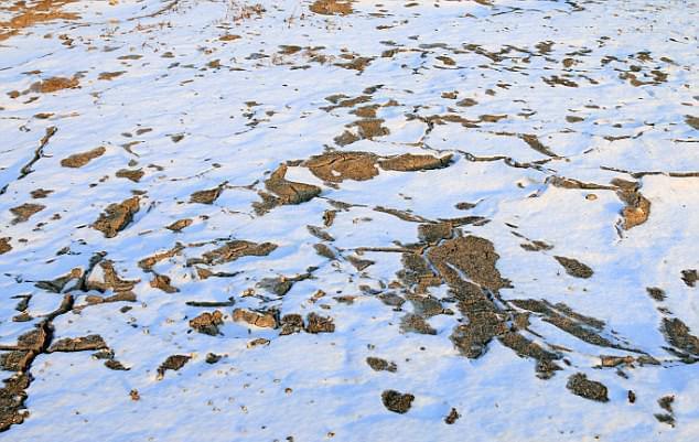上海仪器仪表展|中国2024年生态环保重大科研成果- 上海仪器仪表展|中国2024年生态环保重大科研成果-