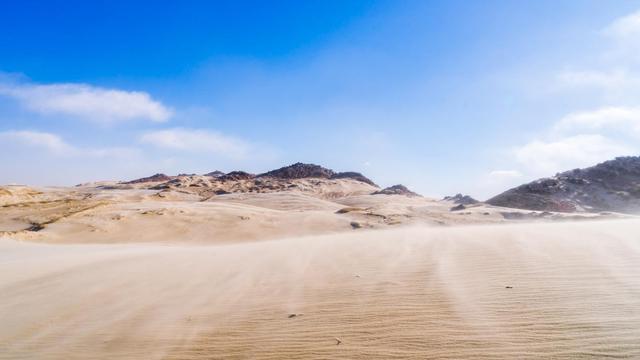 上海仪器仪表展|“跃动壳”:环境监测领域的智能新利器- 上海仪器仪表展|“跃动壳”:环境监测领域的智能新利器-
