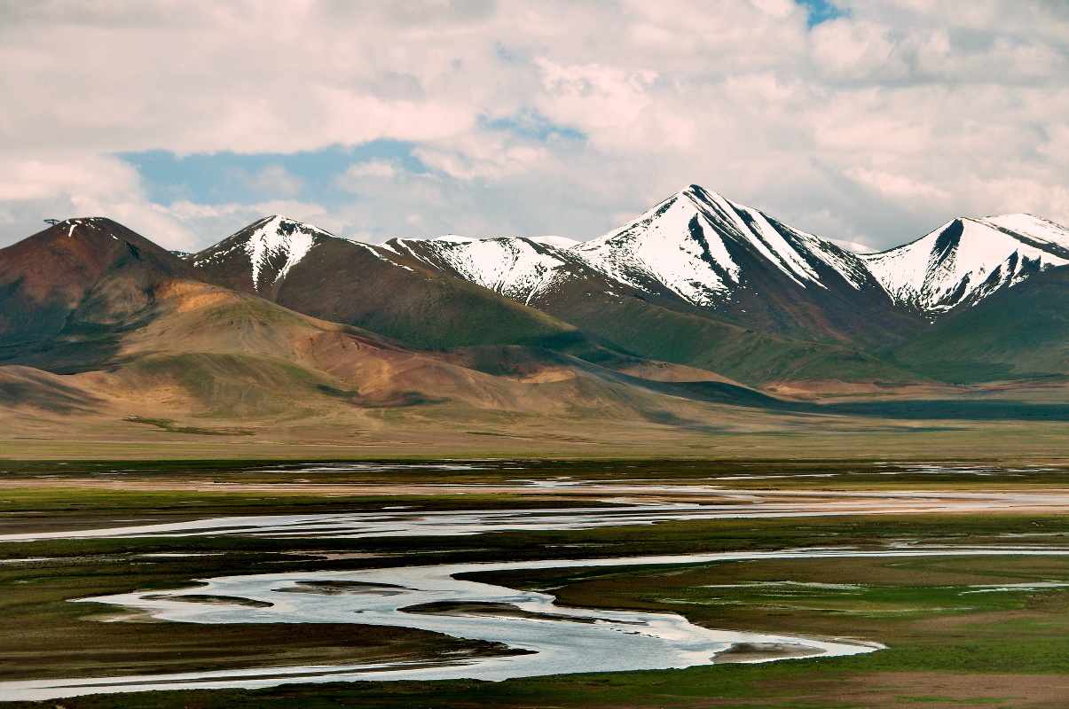 上海仪器仪表展|中国科学家揭示青藏高原植物种类远超预期- 上海仪器仪表展|中国科学家揭示青藏高原植物种类远超预期-