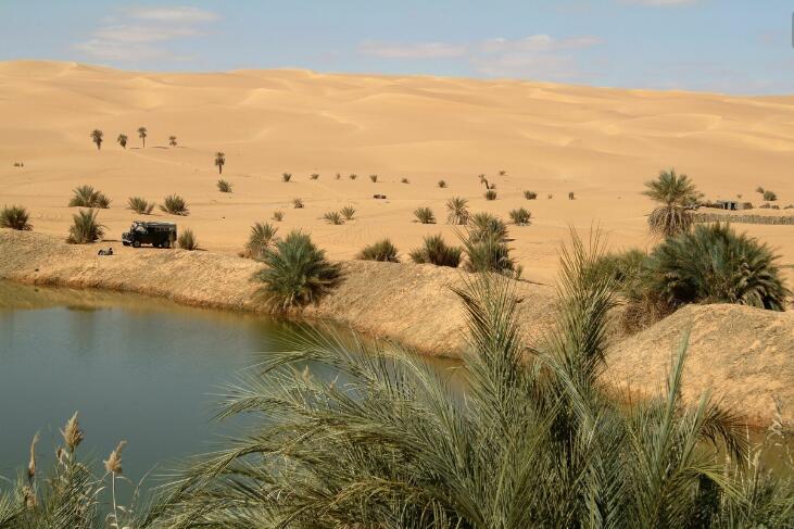 上海仪器仪表展|科技守护荒漠:智能监测助力生态治理- 上海仪器仪表展|科技守护荒漠:智能监测助力生态治理-