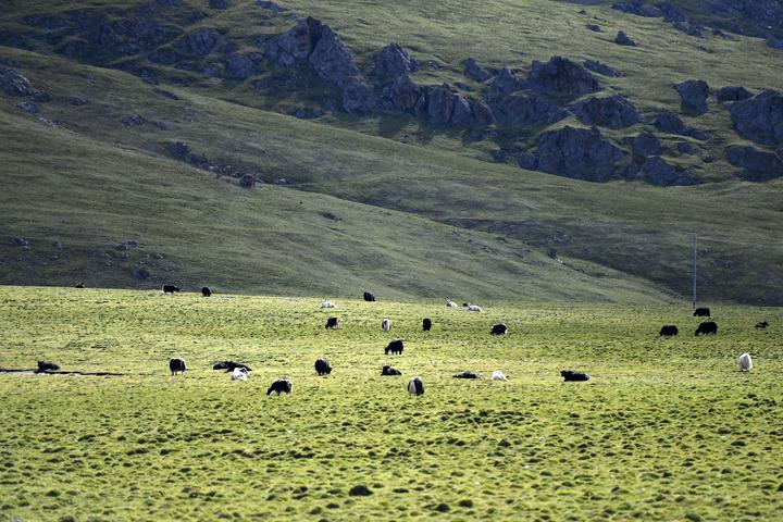 新利国际手机版|生态示范引领绿色转型- 新利国际手机版|生态示范引领绿色转型-