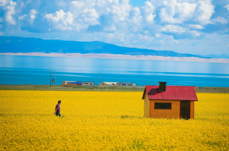 上海仪器仪表展|西宁构建智慧监测网络 科技护航高原生态安全- 上海仪器仪表展|西宁构建智慧监测网络 科技护航高原生态安全-