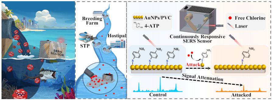 新利国际手机版|水体污染物长期监测技术获突破:新型传感器实现精准连续追踪- 新利国际手机版|水体污染物长期监测技术获突破:新型传感器实现精准连续追踪-