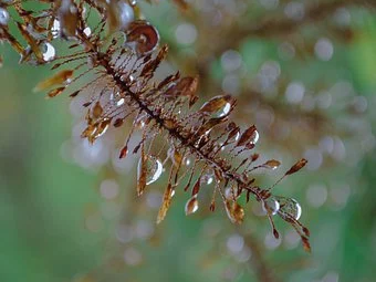 空气质量持续向好 大气污染治理需啃“硬骨头”