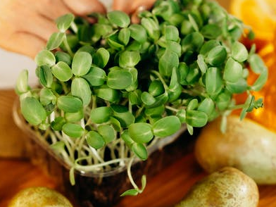 涉气（含vocs）企业不正常运行污染防治设施怎么罚？