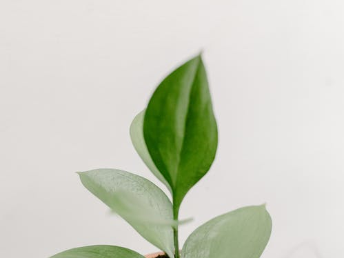 iigf观点|健康环境视野下的清洁生产模式与建议