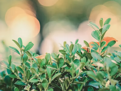 “十四五”电网投资约3万亿元 电工仪表需求将大幅增长