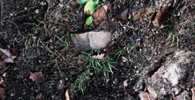 索赔100亿！“史上最贵”土壤污染案始末