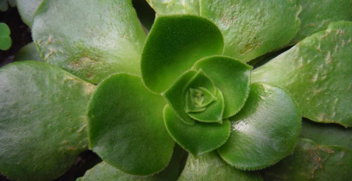 规范自动监控 提高执法效能丨江苏省环保集团监测公司助力无锡惠山非现场监管