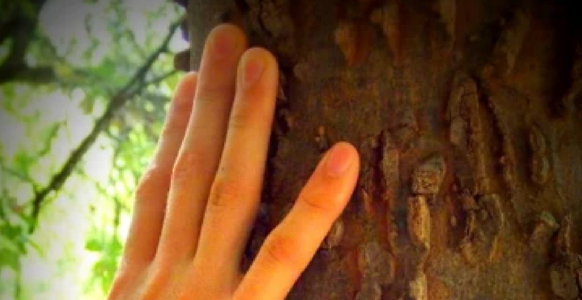 中国环境监测总站顺利完成烟气含湿量测量仪计量装置建设与测试工作