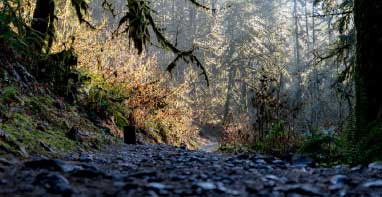 河北省：关于下发2023年度第三方生态环境监测机构专项整治行动情况的通知