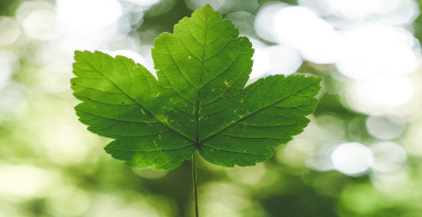 步入新阶段！我国初步建成“天空地一体化”生态质量监测网络体系