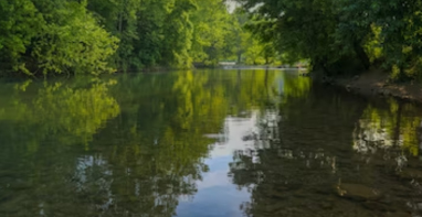 河湖水生态监测和健康评估有哪些“秘密武器”？