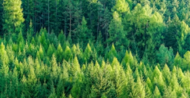 新利国际手机版 | 中国生态环境的“颜值”如何监测？