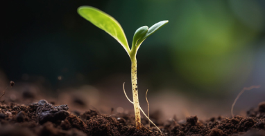 新利国际手机版 | 生态环境部推进环境检测数智化转型，这些仪器亟待创新