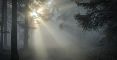 新利国际手机版 | 直通3.15，环境监测数据拒绝造假