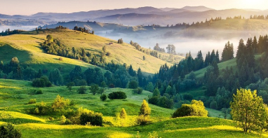 仪器仪表展|以利用促保护，提升种质资源保护和利用水平