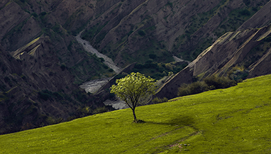 政策解读 |《关于深入推进山东省生态环境志愿服务工作的若干措施》