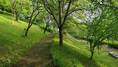 绿色职业崛起：解码中国低碳转型的就业革命