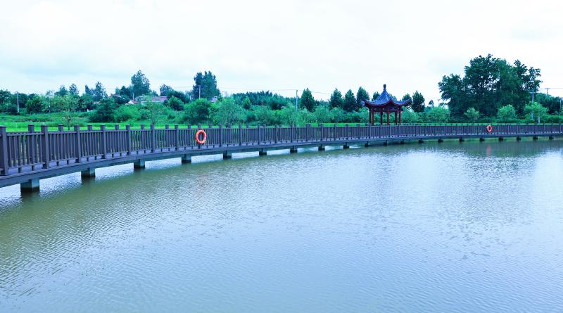 上海仪器仪表展|突破性水污染监测技术实现十亿分之一克级检测